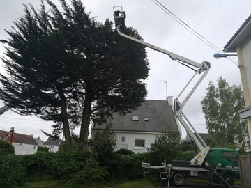 Elagage à Clisson