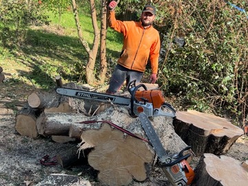 Élagueur à Rezé - Abattage d’un sapin à Rezé