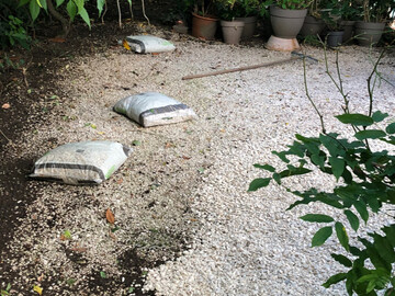 Élagage avec nacelle sur Savenay