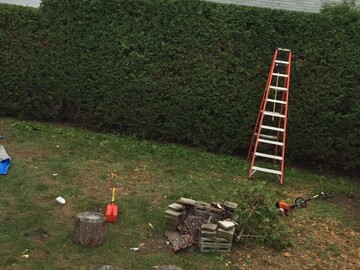 Jardinier à Vigneux de Bretagne