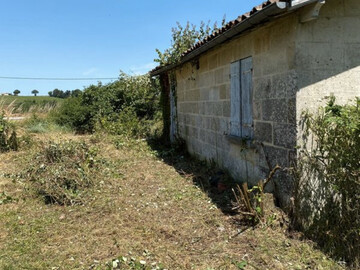 Jardinier 44 - Débroussaillage Avant/Après