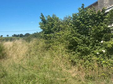 Jardinier 44 - Débroussaillage Avant/Après