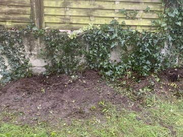 Paysagiste à Rezè - Dessouchage d’arbre enlèvement des souche deracinage arbre