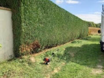 Jardinier à Orvault