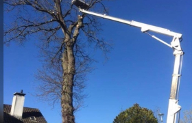 élagage avec nacelle à Sautron