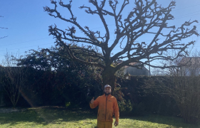 élagage d’arbre à vertou 